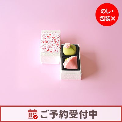 【5/4より発送】母の日特別上生菓子 2個入【オンライン販売期間：4/3から5/9AM】