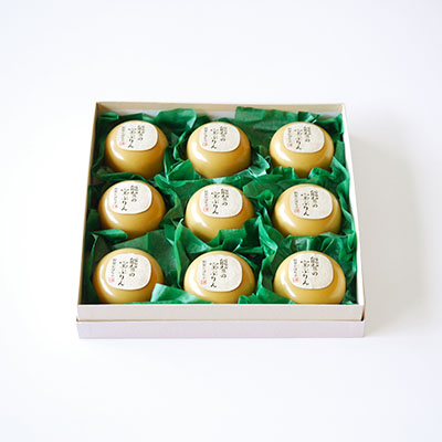 能登の宝ぷりん（能登かぼちゃ）9個入