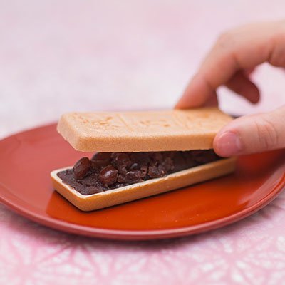 お手作り最中 城の石 4個入 森八 オンラインショップ