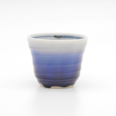 ぐいのみ・龍王