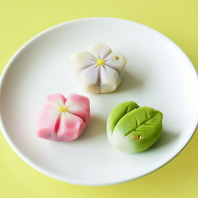 和菓子作り体験セット（秋の上生菓子） 森八 オンラインショップ