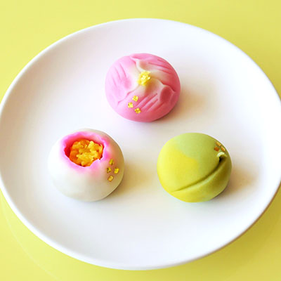 和菓子作り体験セット（夏の上生菓子） 森八 オンラインショップ
