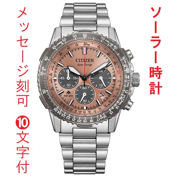 名入れ 刻印 10文字付 シチズン CITIZEN プロマスター PROMASTER ソーラー メンズ 腕時計 CA4664-60X 20気圧防水 サーモンカラー 取り寄せ品