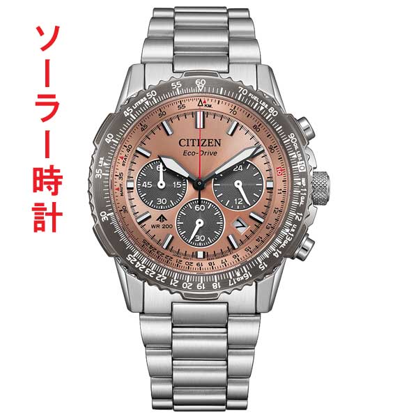 シチズン CITIZEN プロマスター PROMASTER ソーラー メンズ 腕時計 CA4664-60X 20気圧防水 サーモンカラー  刻印対応有料 取り寄せ品