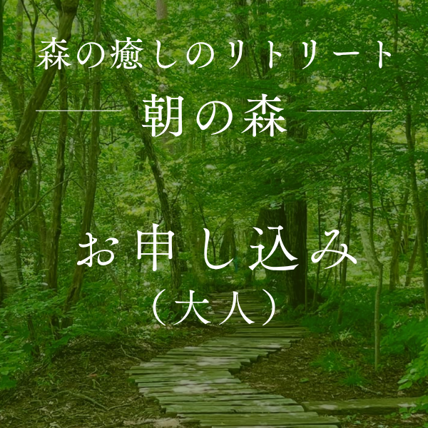 八ヶ岳倶楽部 森の癒しのリトリート