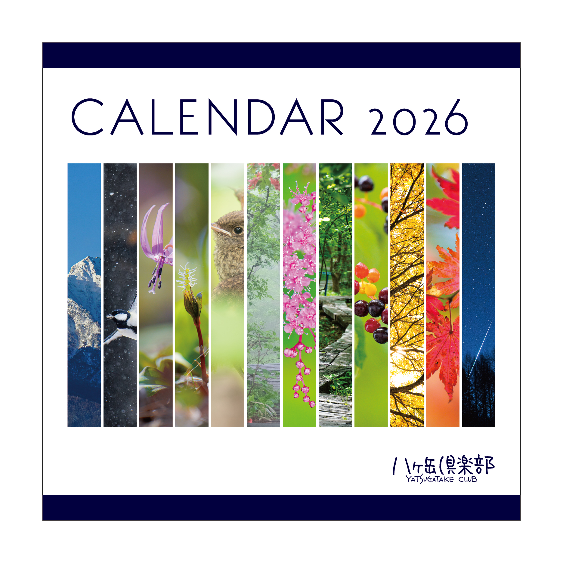 【部数限定】 八ヶ岳倶楽部オリジナル「森のカレンダー2026」