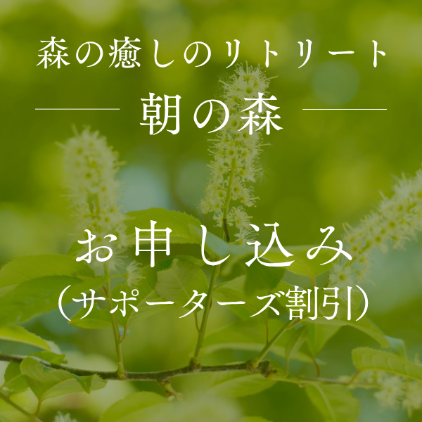 八ヶ岳倶楽部森と癒しのリトリート