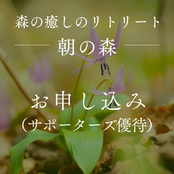 八ヶ岳倶楽部森と癒しのリトリート