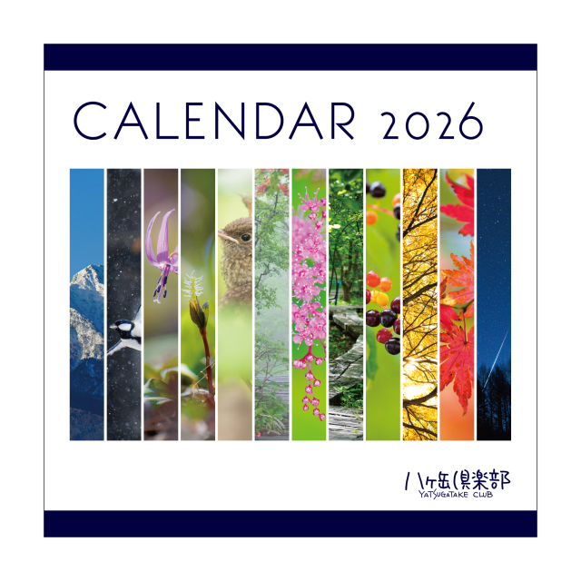 【部数限定】 八ヶ岳倶楽部オリジナル「森のカレンダー2026」