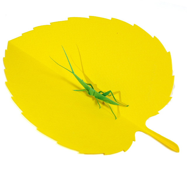 廣岡さん　ペーパーアート