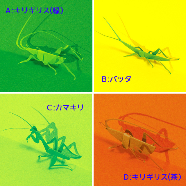 廣岡さん　ペーパーアート