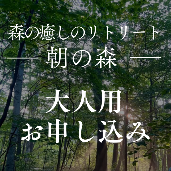森の癒しのリトリート〈朝の森〉大人
