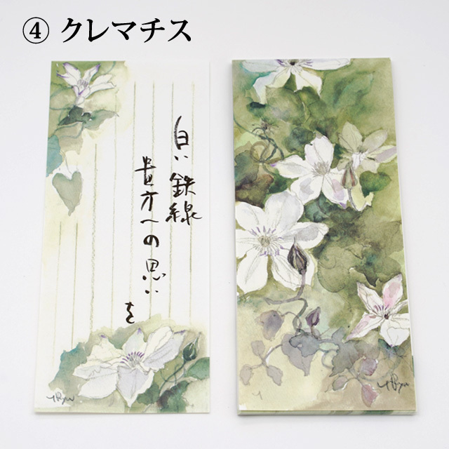 流郷由紀子　一筆箋　植物画　水彩