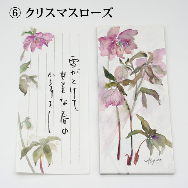 流郷由紀子　一筆箋　植物画　水彩