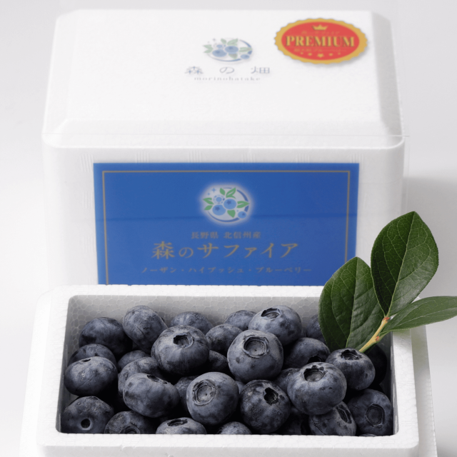 白い箱に詰めた冷凍ブルーベリー「森のサファイア」