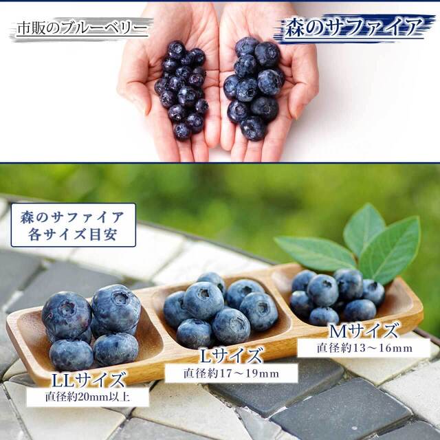 サイズの目安。超大粒は直径約20mm以上、Lは約17〜19mm、Mは約13〜16mm