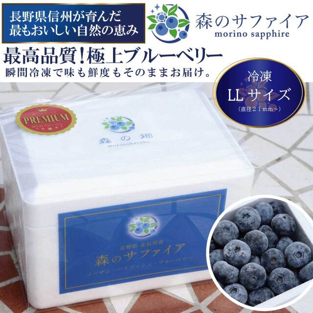 ブルーベリー 冷凍 国産 通販 無農薬 自然 森のサファイア 長野県産 ブルーベリー 冷凍 国産 通販 無農薬 自然 森のサファイア 長野県産