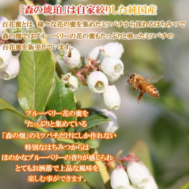 はちみつ 蜂蜜 百花蜜 国産 通販 無添加 無農薬 自然 長野県産