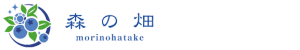 森のサファイアロゴ