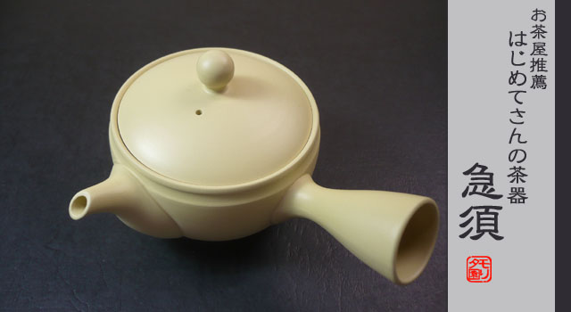 常滑焼　急須　おしゃれな急須　日本茶
