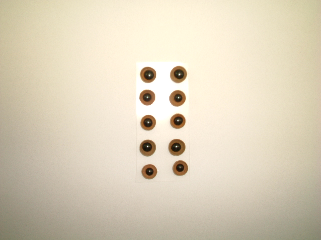 どんぐり目　EB-D001