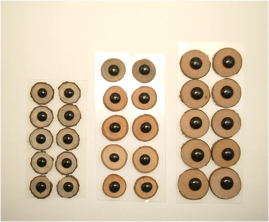 ウッド目　EB-W002