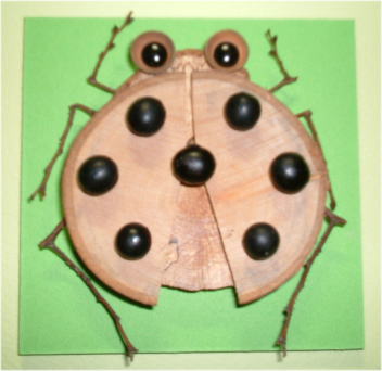 テントウムシ　CK100-B008