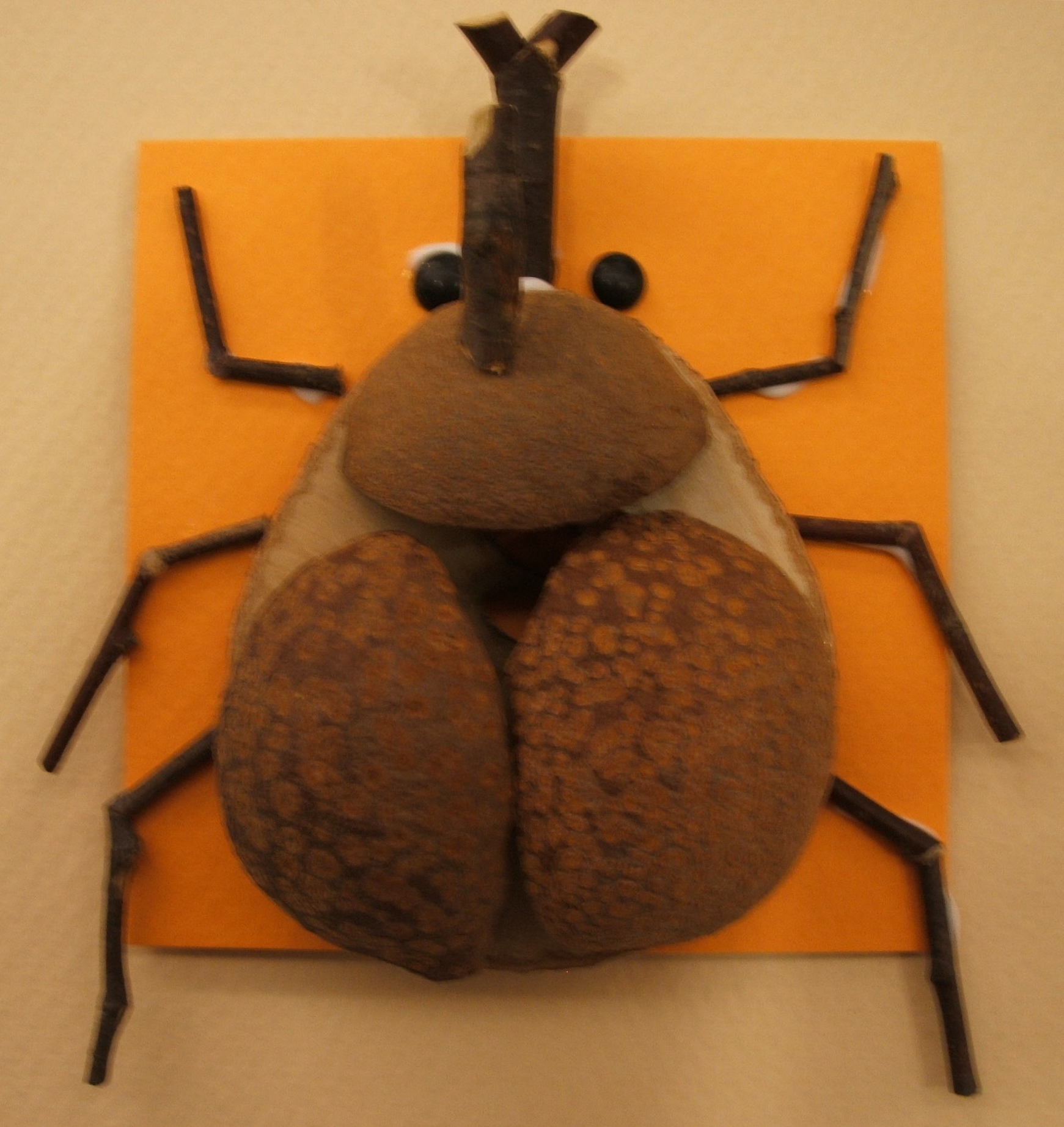 カブトムシ　ＣＫ100-Ｂ015