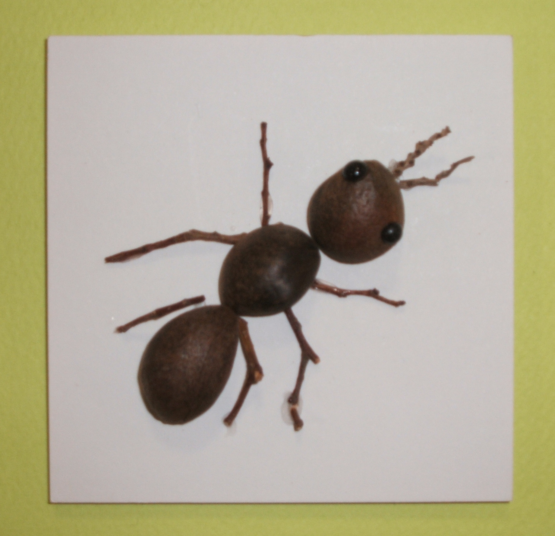 アリ　ＣＫ100-Ｂ020