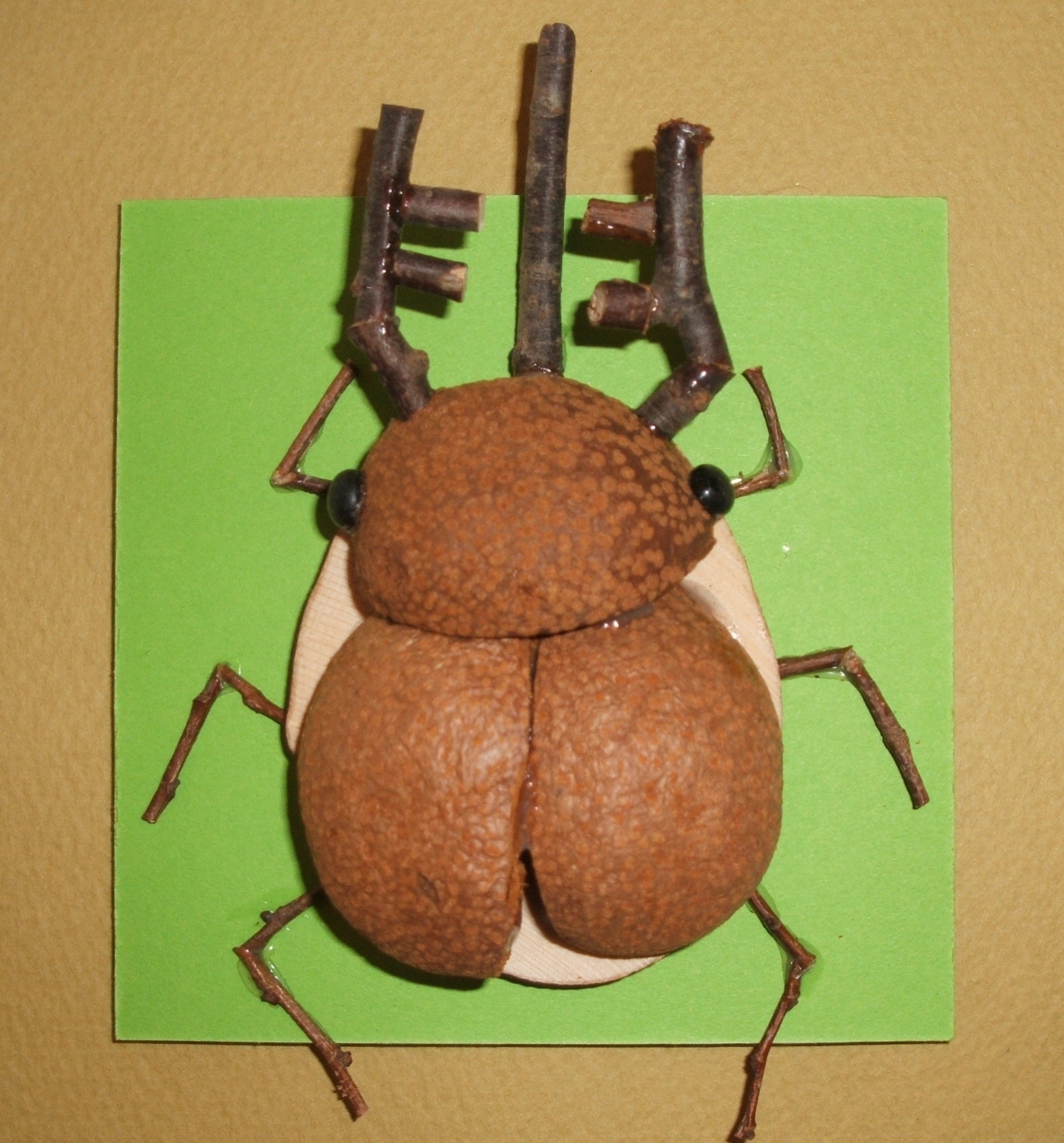 ヘラクレス・オオカブト　ＣＫ100-Ｂ029