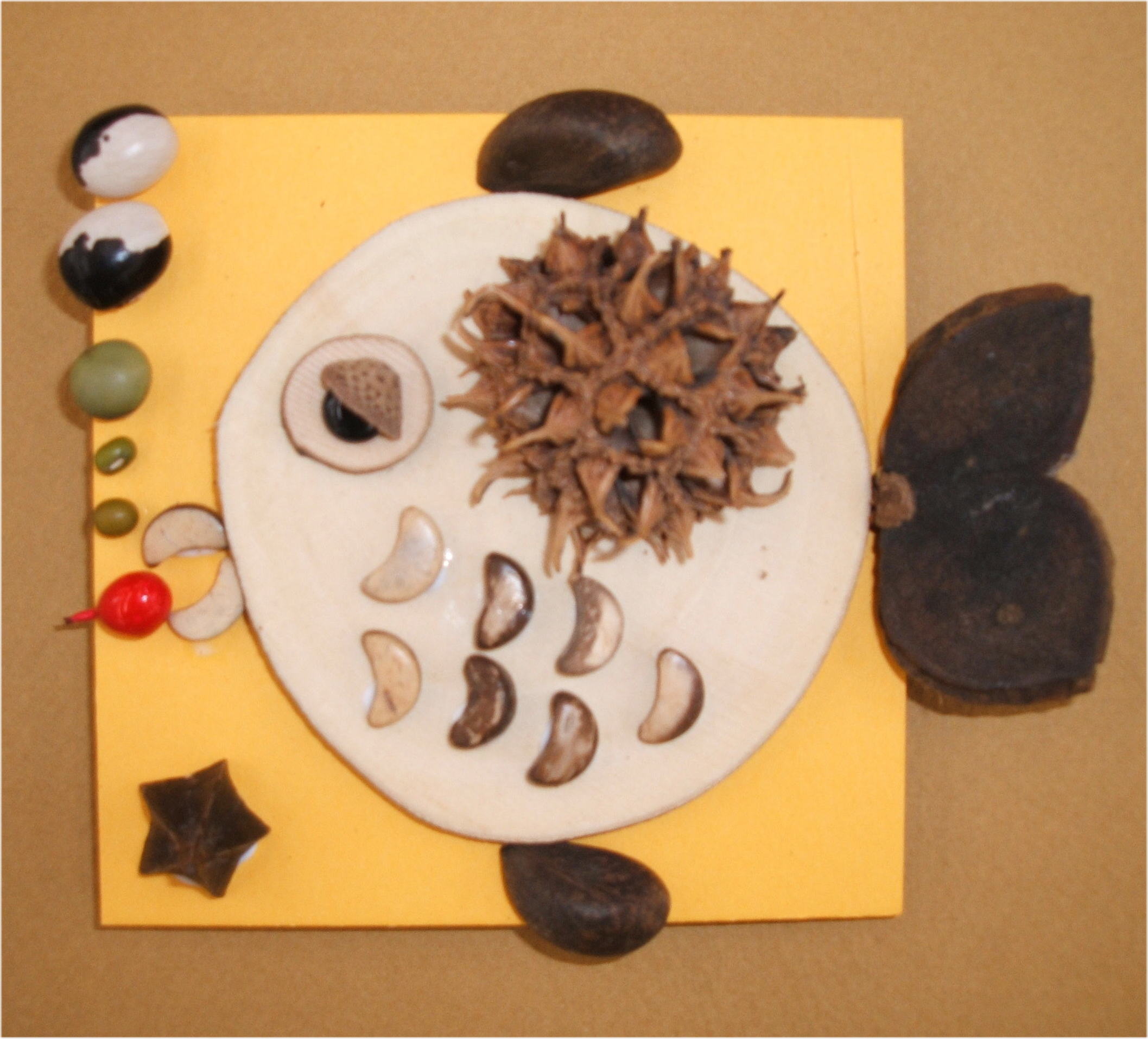 サカナ　CK100-D017