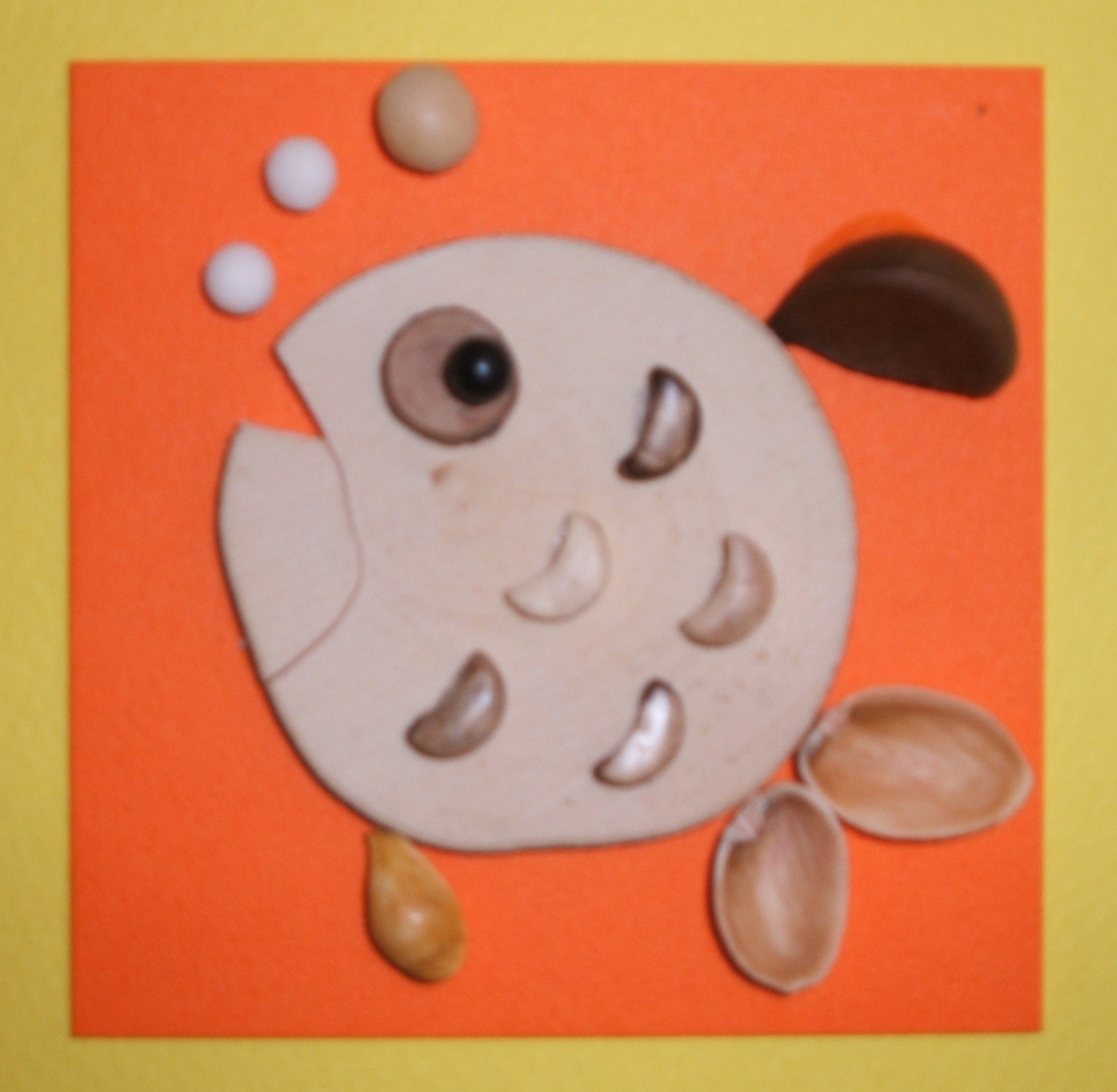 サカナ　CK100-D023