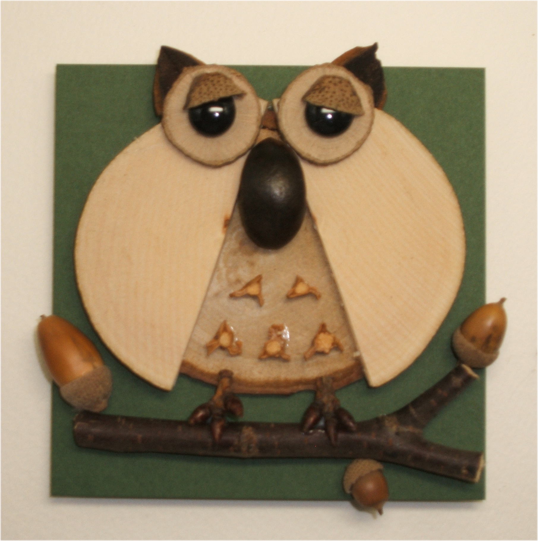 鳥・フクロウ　ＣＫ100-Ｅ003