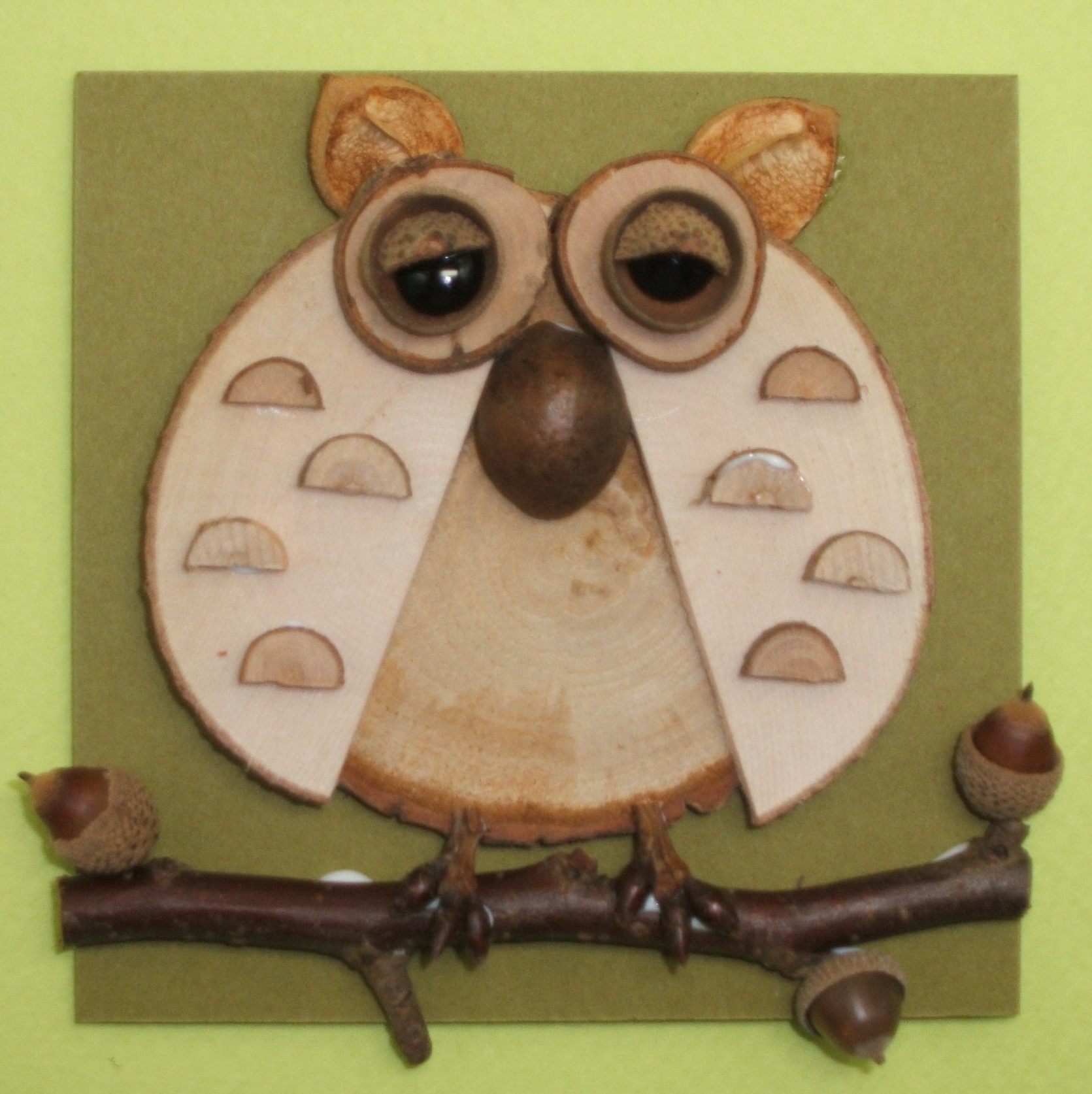 鳥・フクロウ　CK100-E006