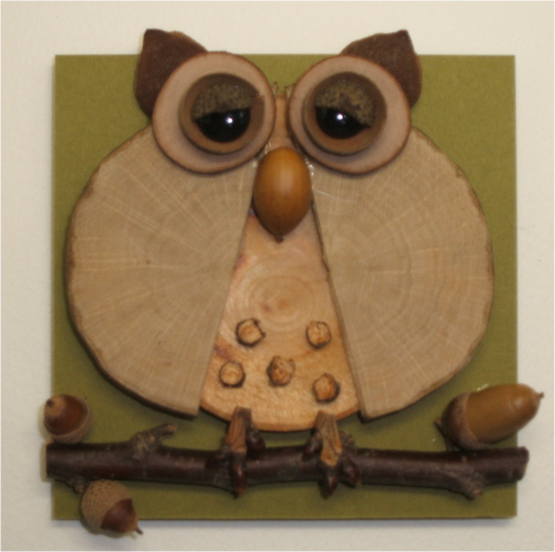 鳥・フクロウ　ＣＫ100-Ｅ018