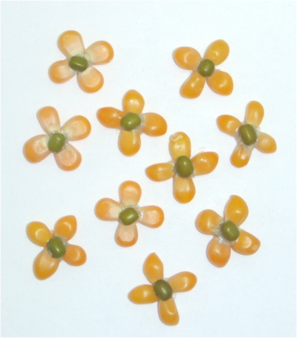 FR15-A001 コーンマッペ