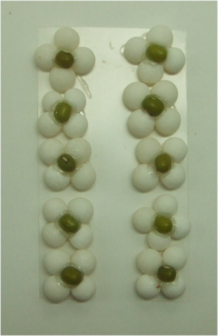 ＦＲ15-Ａ003タピオマッペ