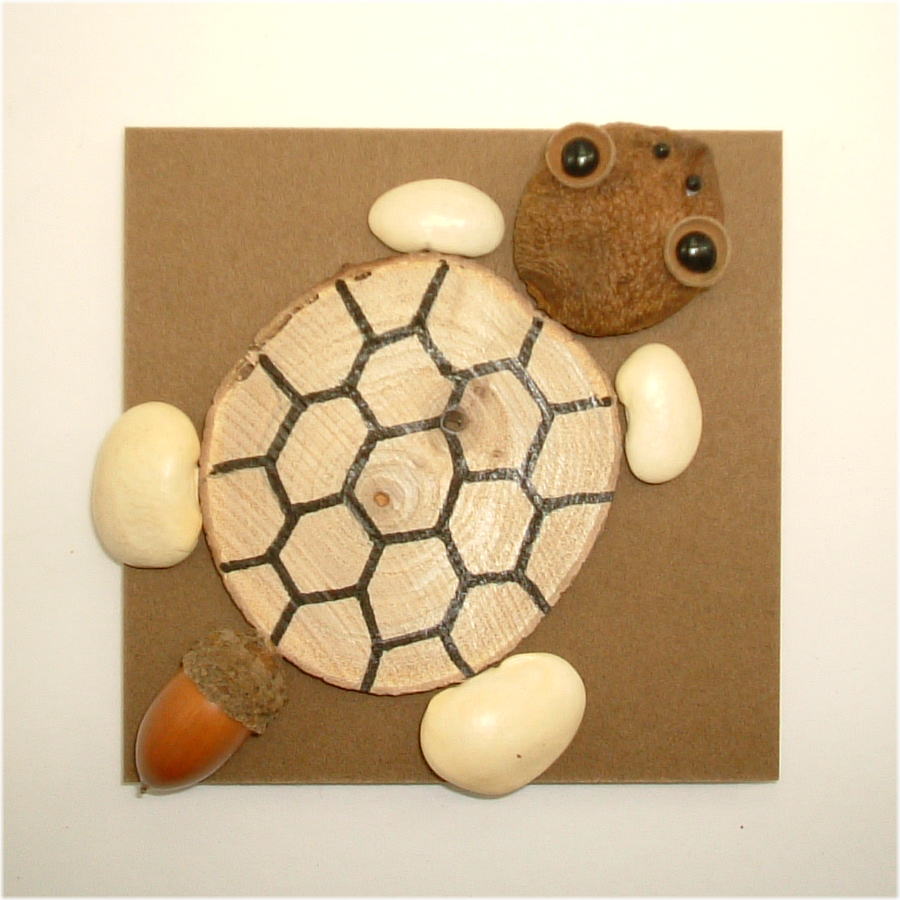 カメＣＫ100-Ｃ009