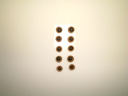 どんぐり目　EB-D001