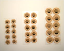 合板瞼目　EB-GM002