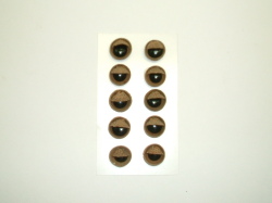 どんぐり瞼目　EB-DM001