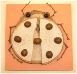 テントウムシ　CK100-B003