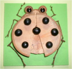 テントウムシ　CK100-B008