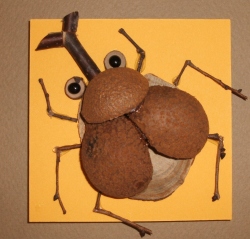 カブトムシ　ＣＫ100-Ｂ012