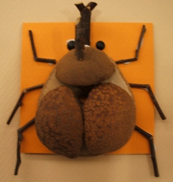 カブトムシ　ＣＫ100-Ｂ015