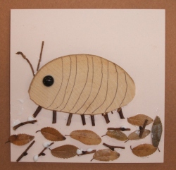 ダンゴムシ　ＣＫ100-Ｂ030