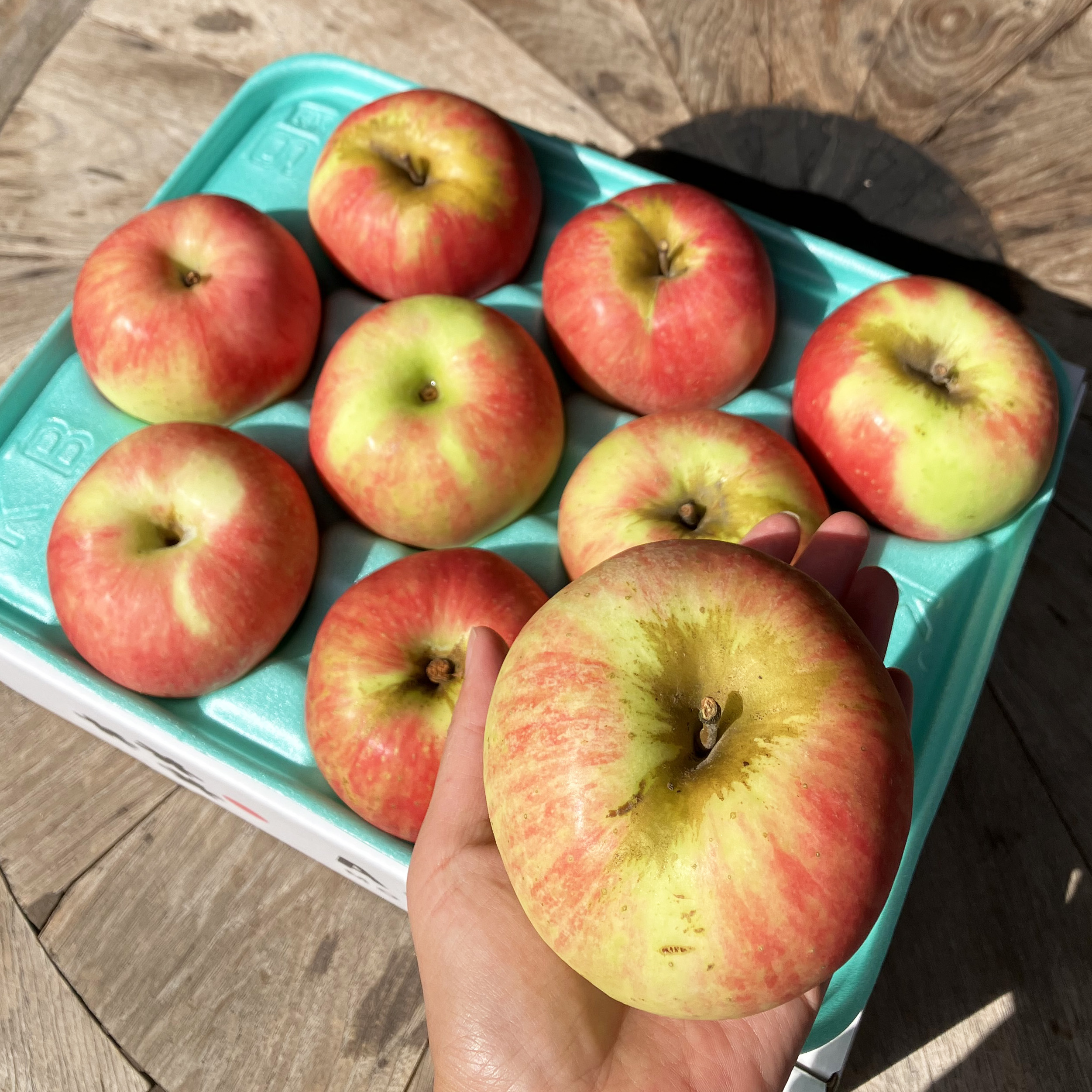 【送料込】訳ありご家庭用 彩香