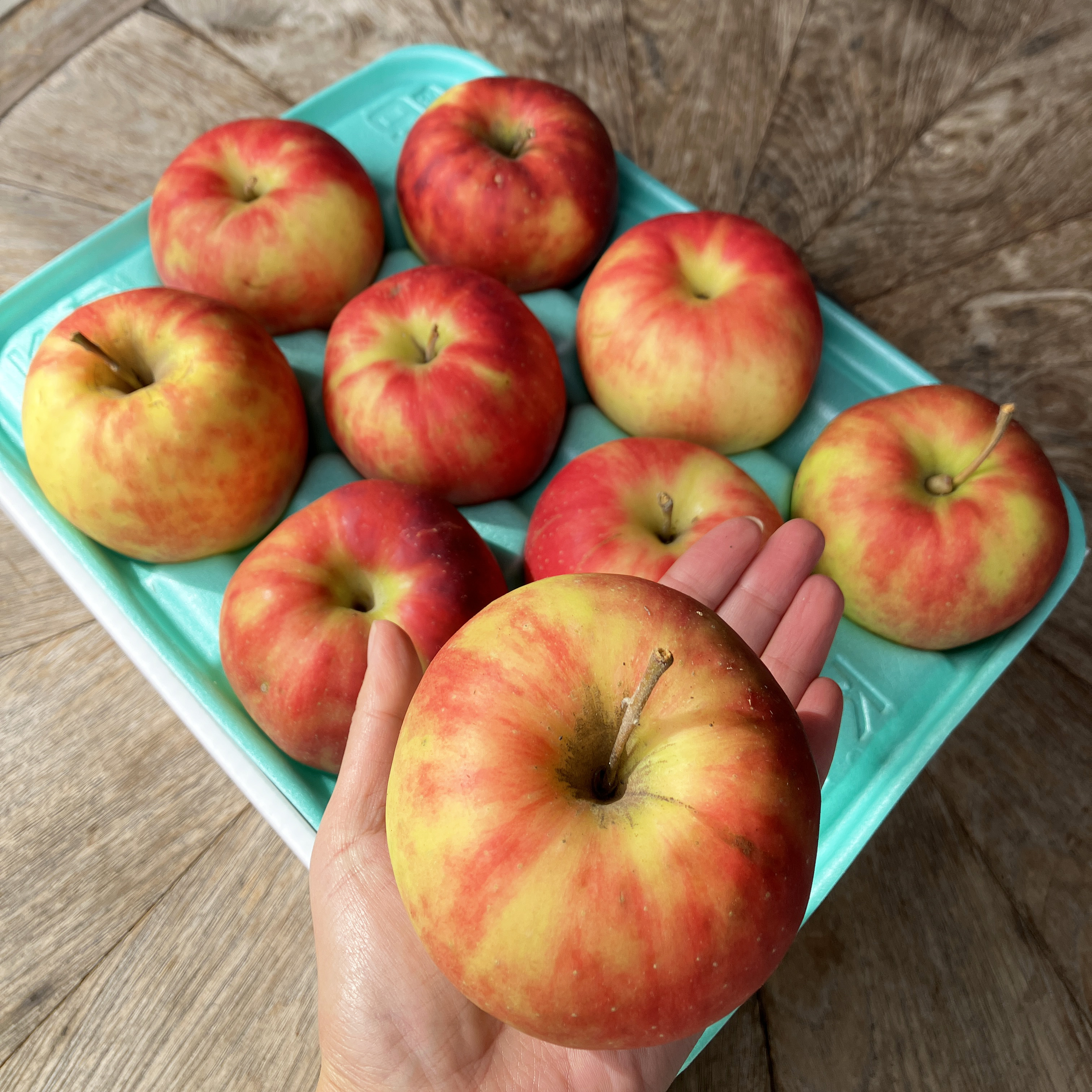 【送料込】訳ありご家庭用 ジョナゴールド