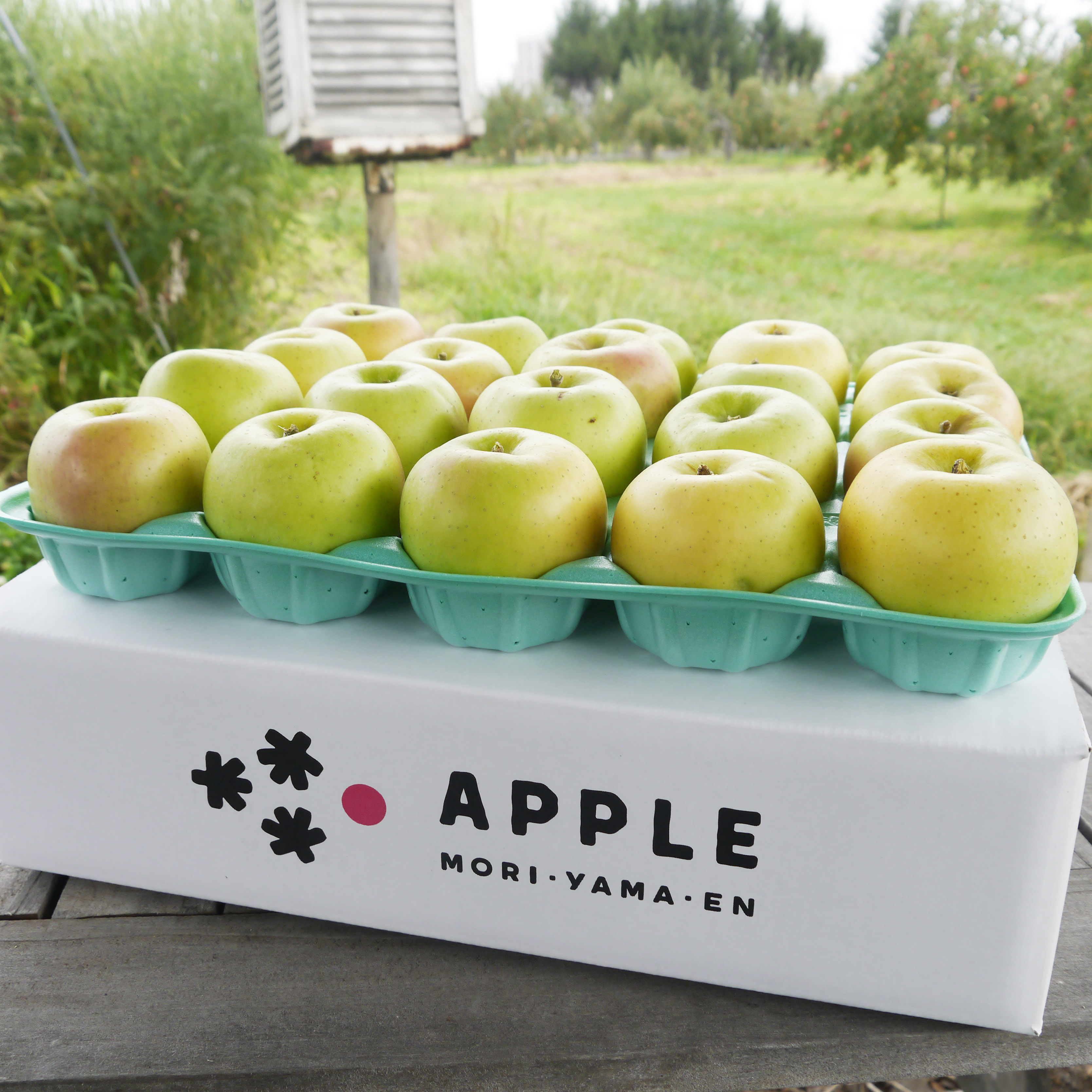 特別栽培認証りんご きおう 訳ありご家庭用 産直 通販