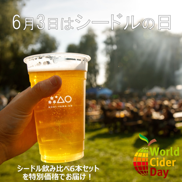 【送料込】ワールドサイダーデー限定 シードル6種飲み比べセット